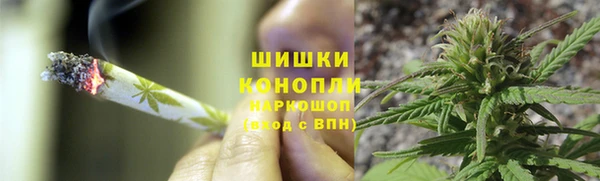 ПСИЛОЦИБИНОВЫЕ ГРИБЫ Алексеевка