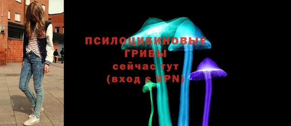 ПСИЛОЦИБИНОВЫЕ ГРИБЫ Алексеевка