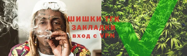 PSILOCYBIN Алзамай