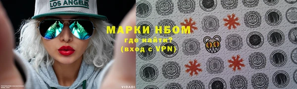 PSILOCYBIN Алзамай